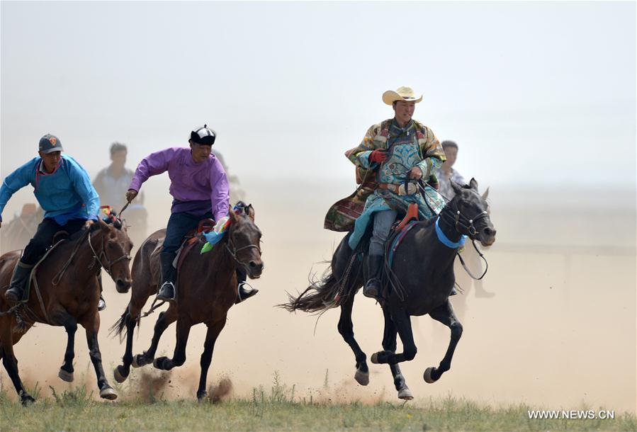 الصورة : عودة الخيول المنغولية إلى حياة الرعاة المحليين في شمالي الصين 