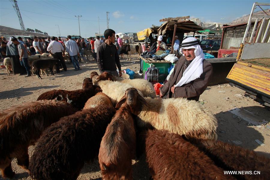 الصورة: استعدادات لاستقبال عيد الأضحى في الضفة الغربية