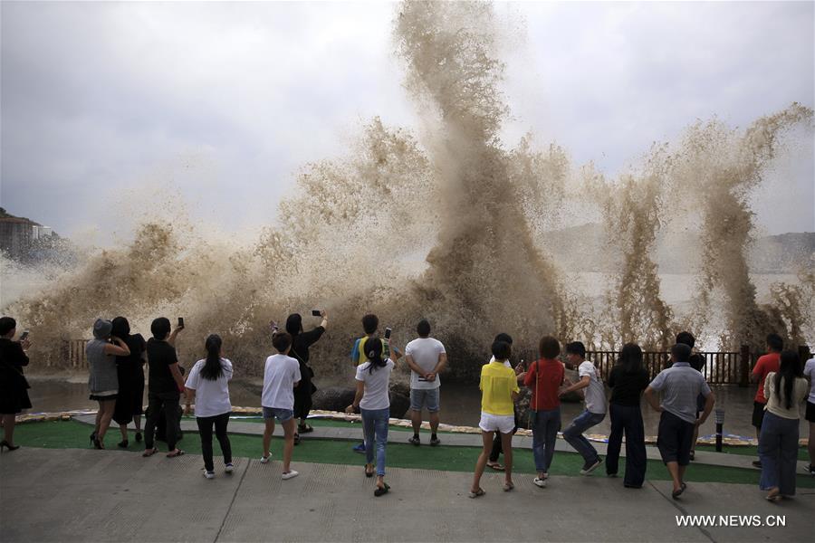 #（环境）（4）受“泰利”影响浙江沿海出现8-11级大风