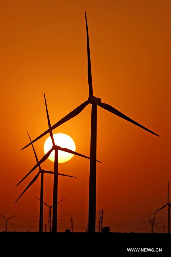 الصورة: مزرعة الرياح في هامي