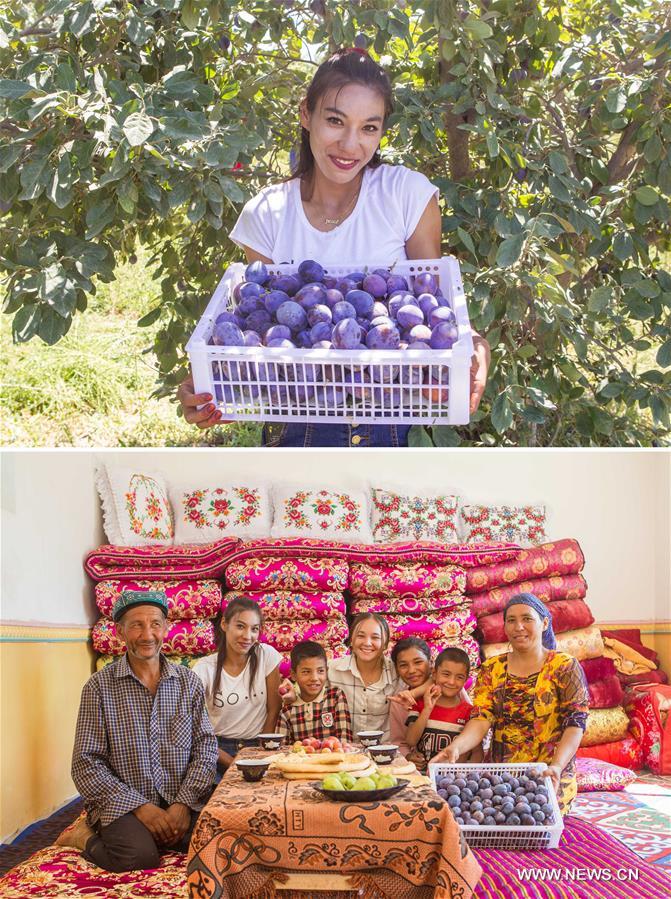  الصورة: تطوير زراعة الفواكه يساعد الفلاحين المحليين على التخلص من الفقر في شينجيانغ