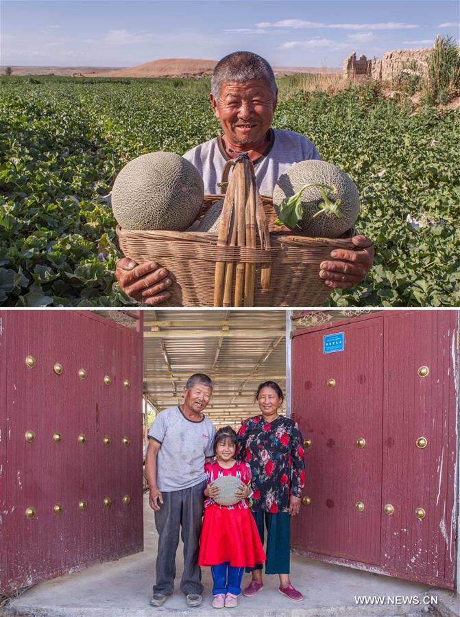 الصورة: تطوير زراعة الفواكه يساعد الفلاحين المحليين على التخلص من الفقر في شينجيانغ