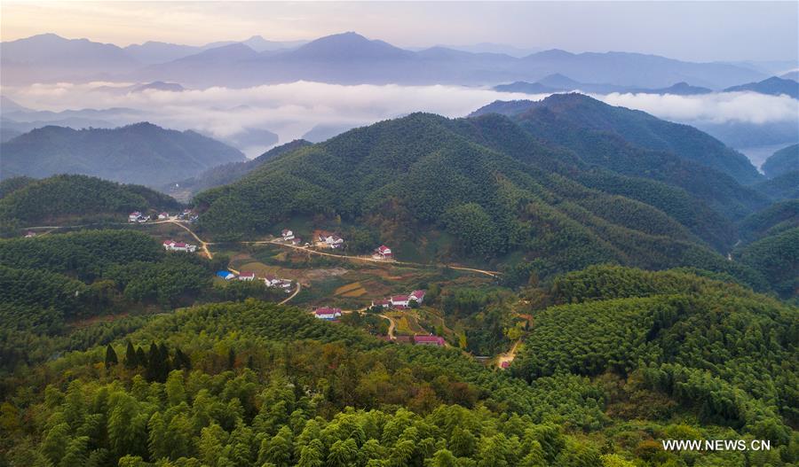 （美丽中国）（3）大别山的竹海与云海