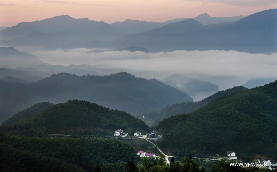 （美丽中国）（4）大别山的竹海与云海