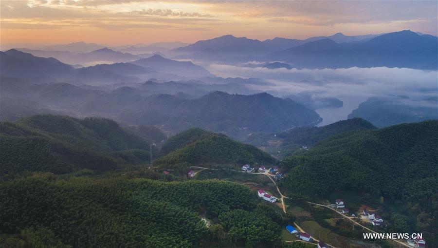 （美丽中国）（6）大别山的竹海与云海