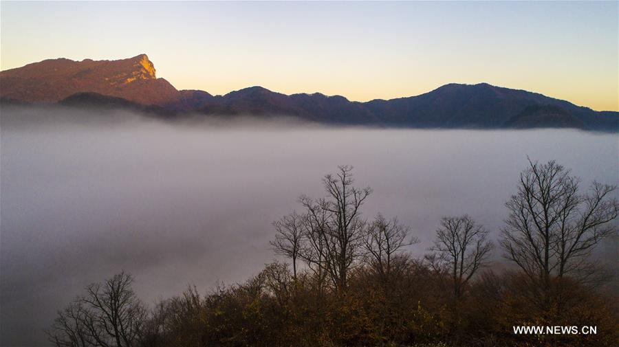 CHINA-HUBEI-SHENNONGJIA-SCENERY (CN)