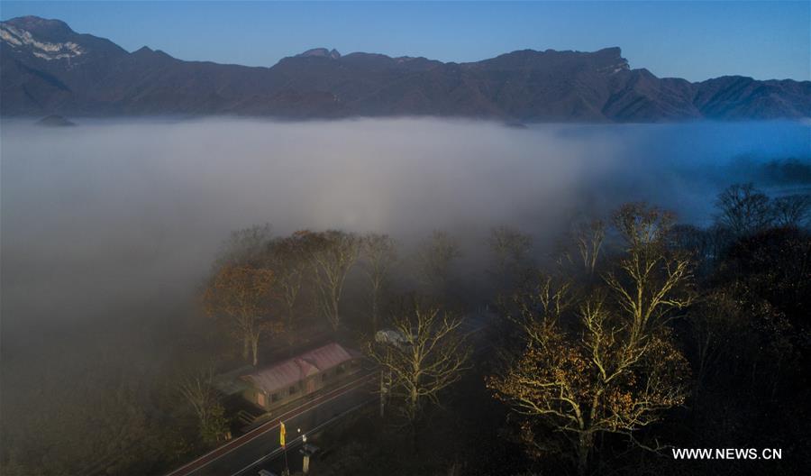 CHINA-HUBEI-SHENNONGJIA-SCENERY (CN)