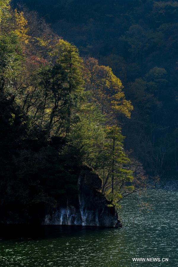 CHINA-HUBEI-SHENNONGJIA-SCENERY (CN)