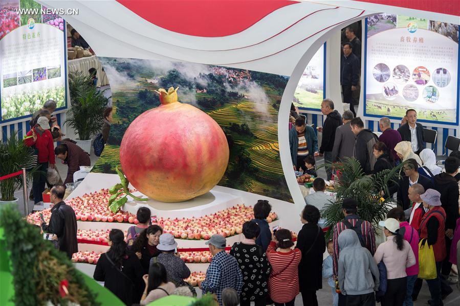الصورة: معرض الصين الدولي الـ13 للزراعة