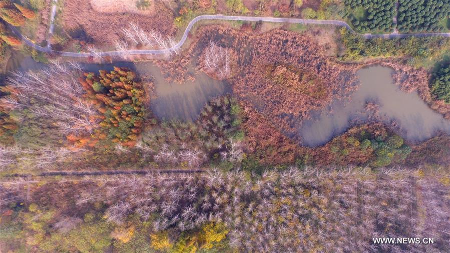 #CHINA-AUTUMN SCENERY-AERIAL VIEW (CN)