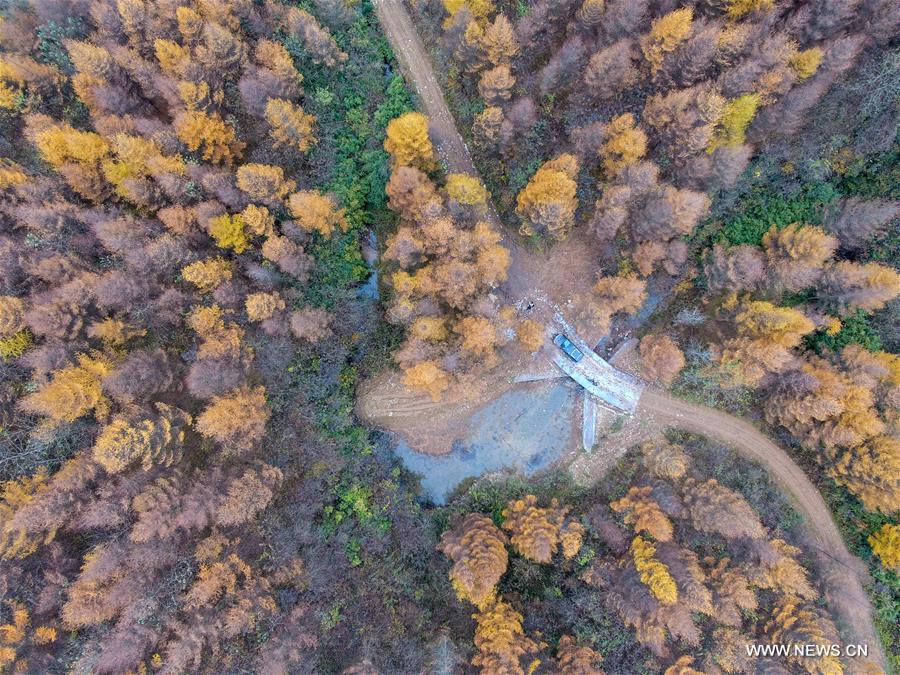 #CHINA-AUTUMN SCENERY-AERIAL VIEW (CN)