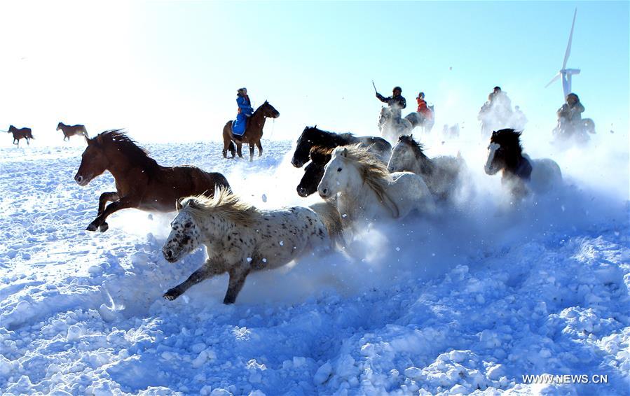 #CHINA-INNER MONGOLIA-XILINGOL-WINTER-HORSE(CN)