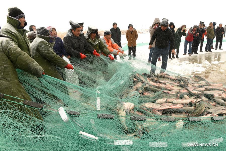 الصورة: صيد الأسماك من على سطح بحيرة متجمدة بشمالي الصين 
