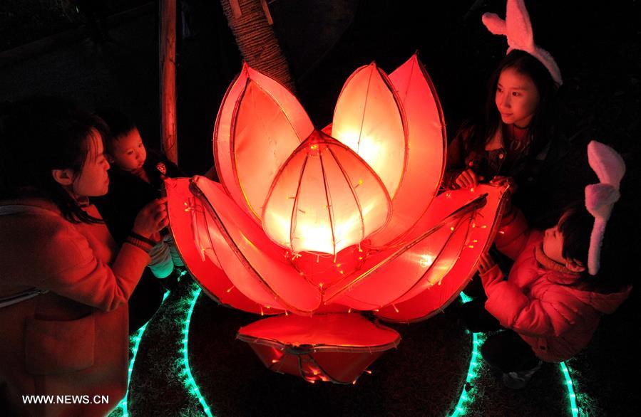 الصورة: مهرجان المصابيح الملونة في جنوب غربي الصين