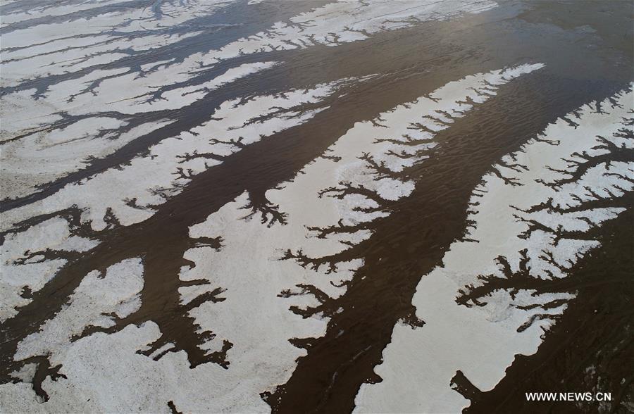 الصورة: تشكل رسوم جليدية في البحر 