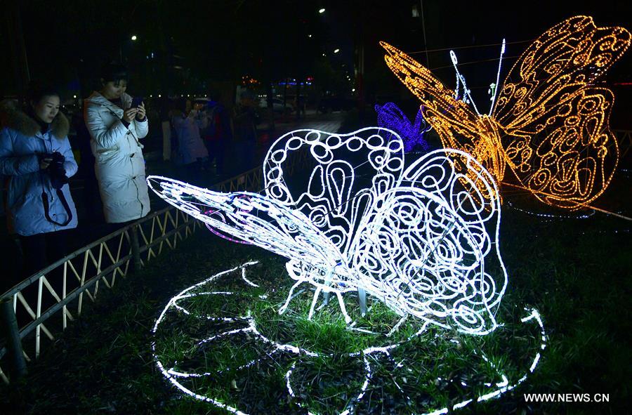 الصورة: معرض المصابيح في محافظة شيوانآن