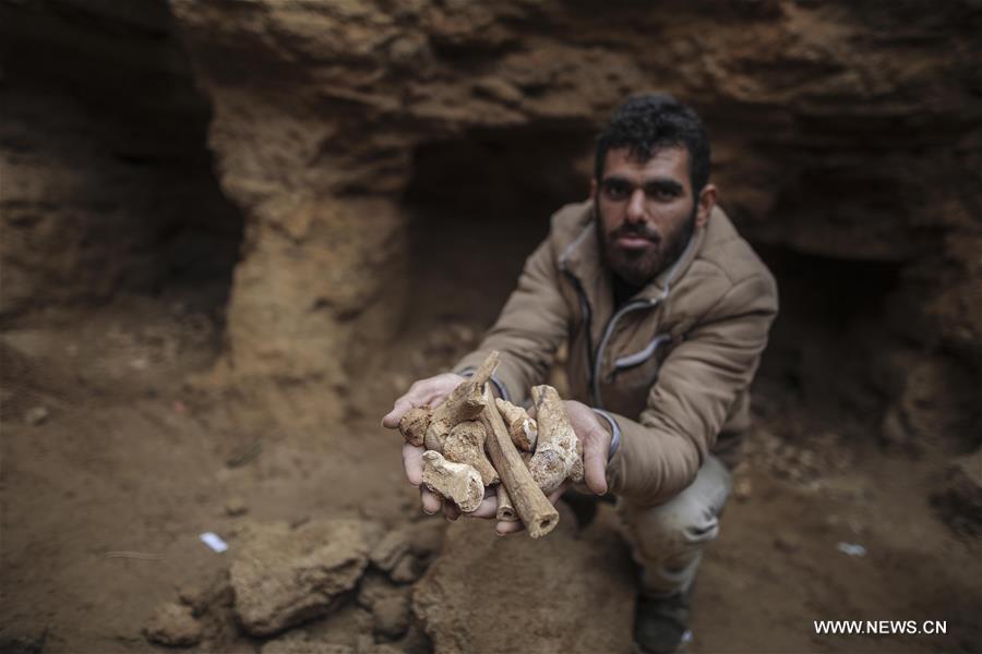 الصورة: فلسطيني يعثر على مقبرة أثرية بحديقة منزله