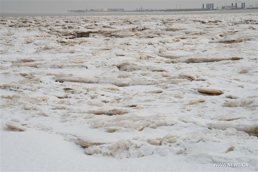 الصورة : الجليد البحري في شرقي الصين