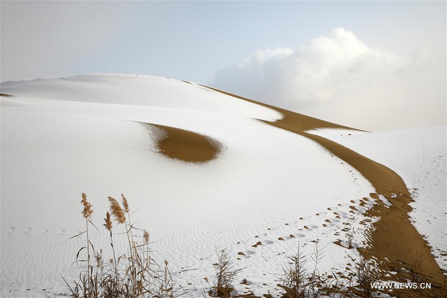 الصورة: منظر خلاب لصحراء تاكليماكان بعد نزول الثلوج 