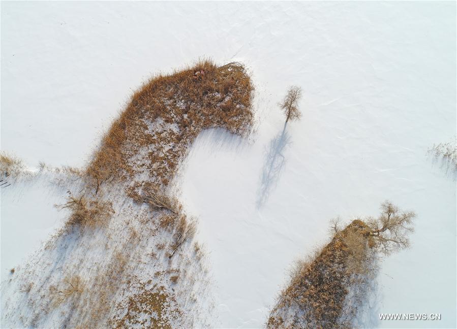 الصورة: منظر خلاب لصحراء تاكليماكان بعد نزول الثلوج 
