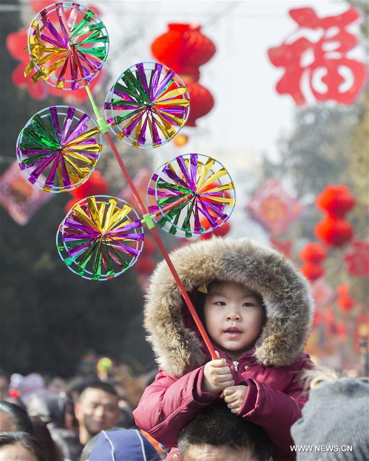 الصورة: مهرجان مياوهوي في أنحاء الصين احتفالا بعيد الربيع التقليدي 