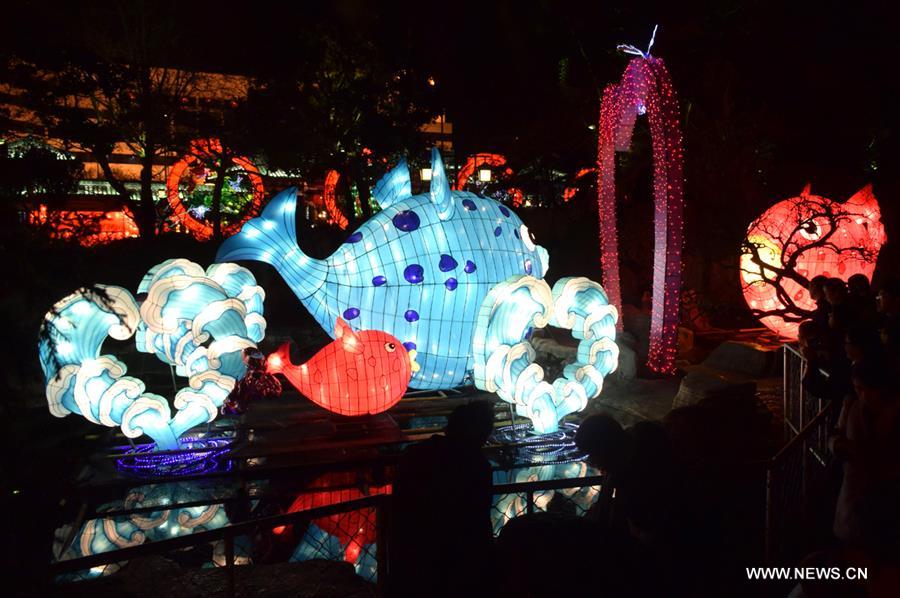 الصورة: مهرجان الفوانيس الملونة في شرقي الصين
