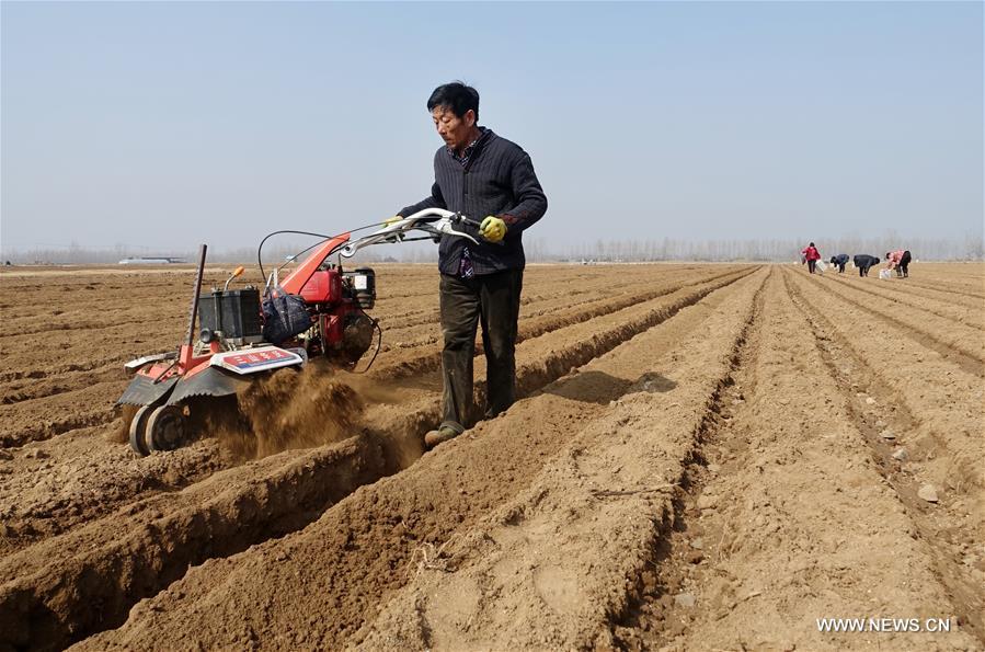 الصورة: بدء الأنشطة الزراعية مع استقبال الربيع في أنحاء الصين