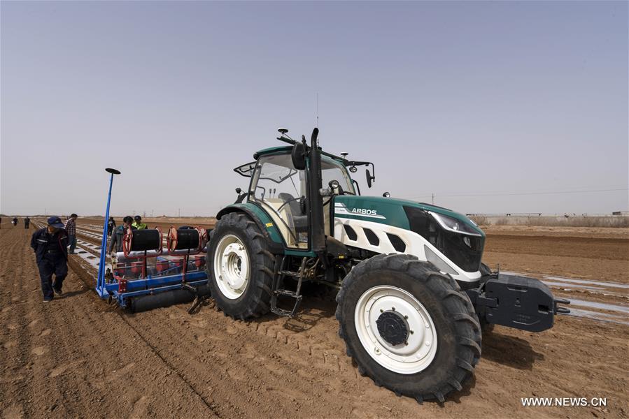الصورة: استخدام معدات ذكية في الإنتاج الزراعي في شمال غربي الصين