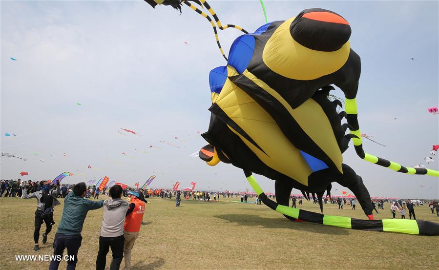 #（社会）（11）第35届潍坊国际风筝会开幕