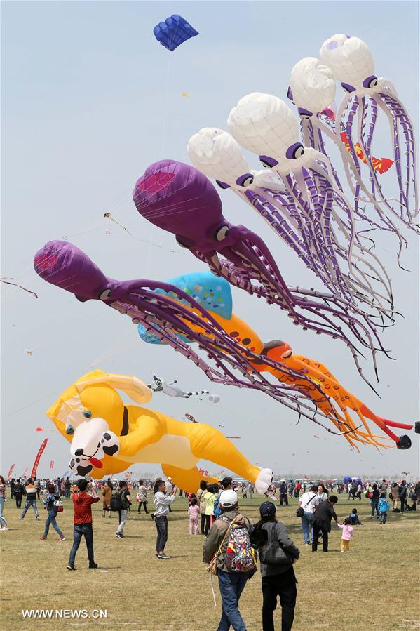 #（社会）（12）第35届潍坊国际风筝会开幕