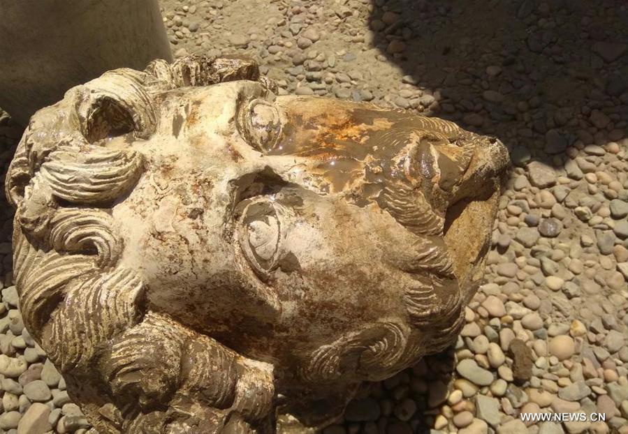 الصورة: اكتشاف رأس تمثال لإمبراطور روماني في أسوان جنوب القاهرة