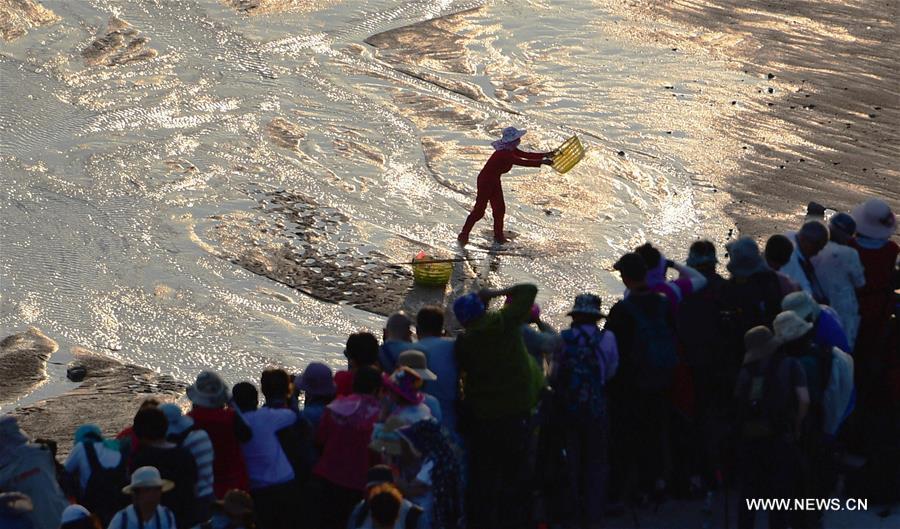 الصورة: الشاطئ الطيني يجذب أكثر من 3 ملايين زائر في الصين