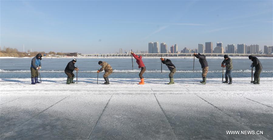 الصورة: استخراج الجليد في نهر سونغهوا بشمال شرقي الصين