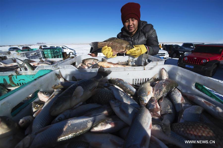 الصورة: صيد الأسماك في بحيرة دالينور بشمالي الصين