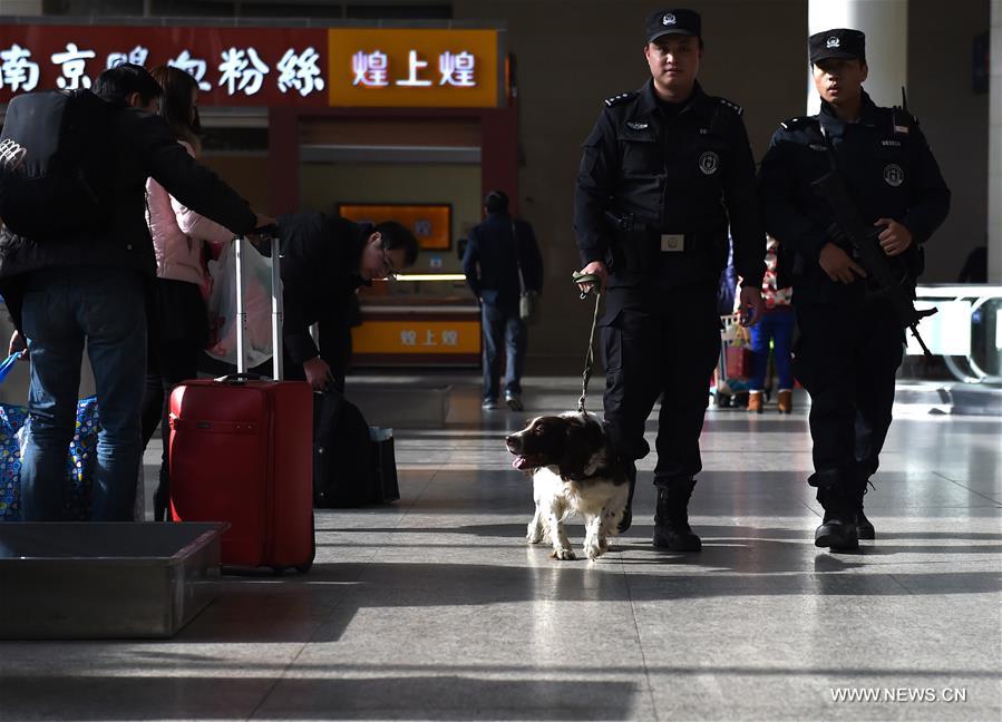 الصورة: كلب الشرطة في شرقي الصين