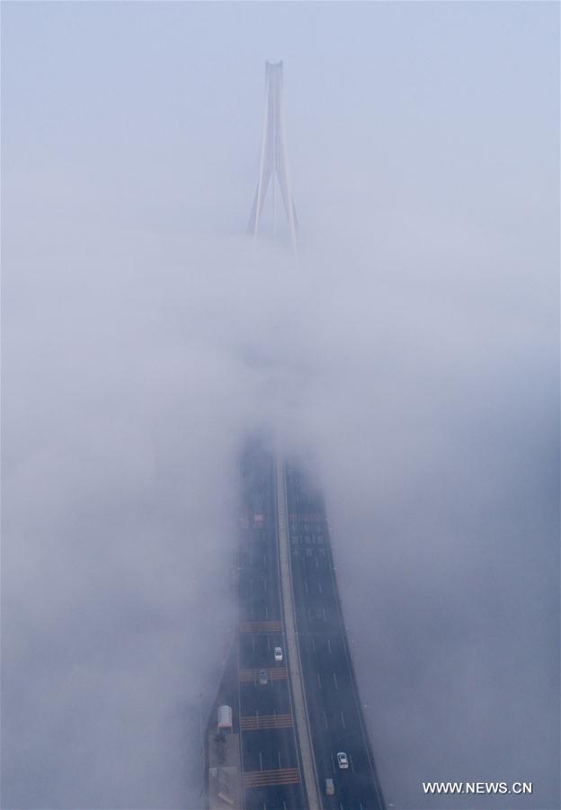 الصورة: ضباب كثيف يغطي مدينة ووهان بوسط الصين