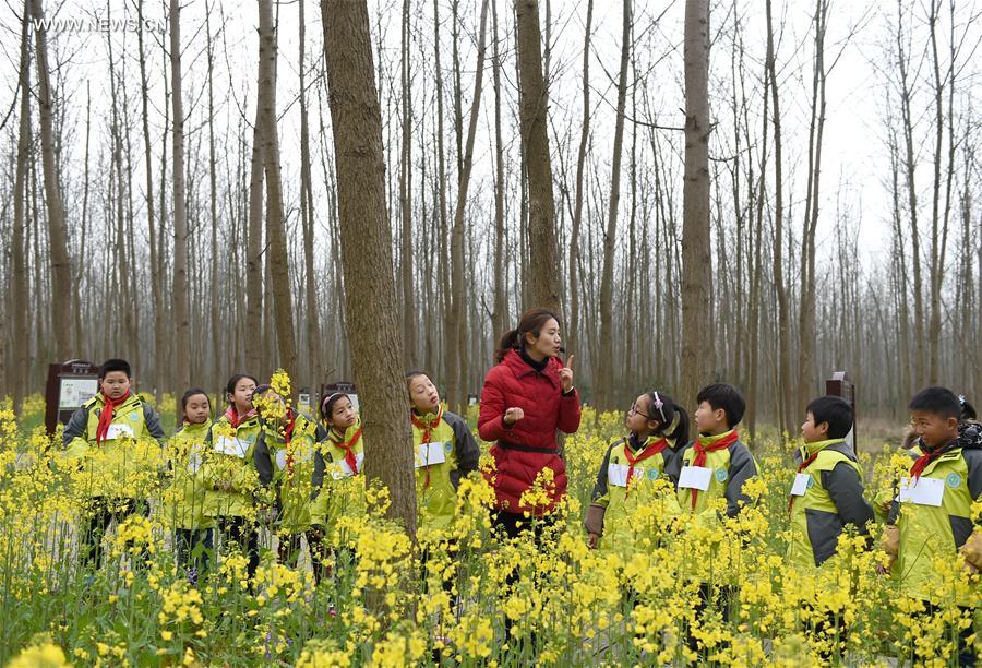 الصورة: فصل دراسي في غابة بشرقي الصين