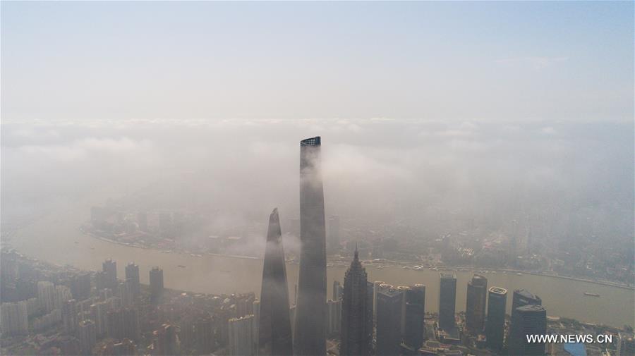 الصورة: إنذار أصفر للضباب الكثيف في شانغهاي