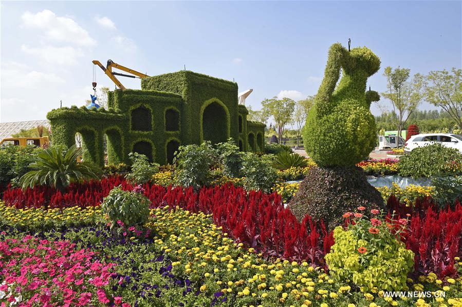 الصورة: معرض الزهور في شمال غربي الصين