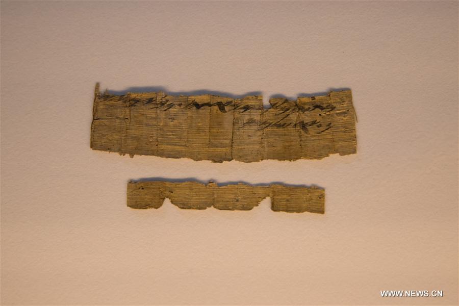 الصورة: العثور على مخطوطة بردية تعود للقرن الـ 7 قبل الميلاد تحمل أقدم ذكر لاسم "القدس" بالعبرية