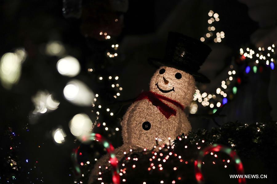 （国际）（9）纽约布鲁克林“圣诞村”的绚丽灯饰