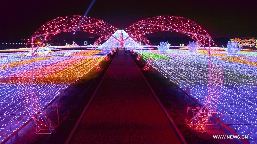 CHINA-HARBIN-LIGHT FESTIVAL (CN) 