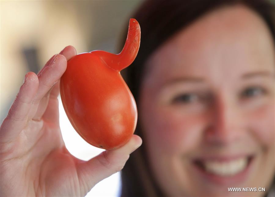 CANADA-VANCOUVER-TOMATO FEST