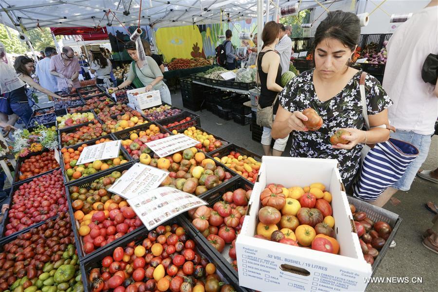 CANADA-VANCOUVER-TOMATO FEST