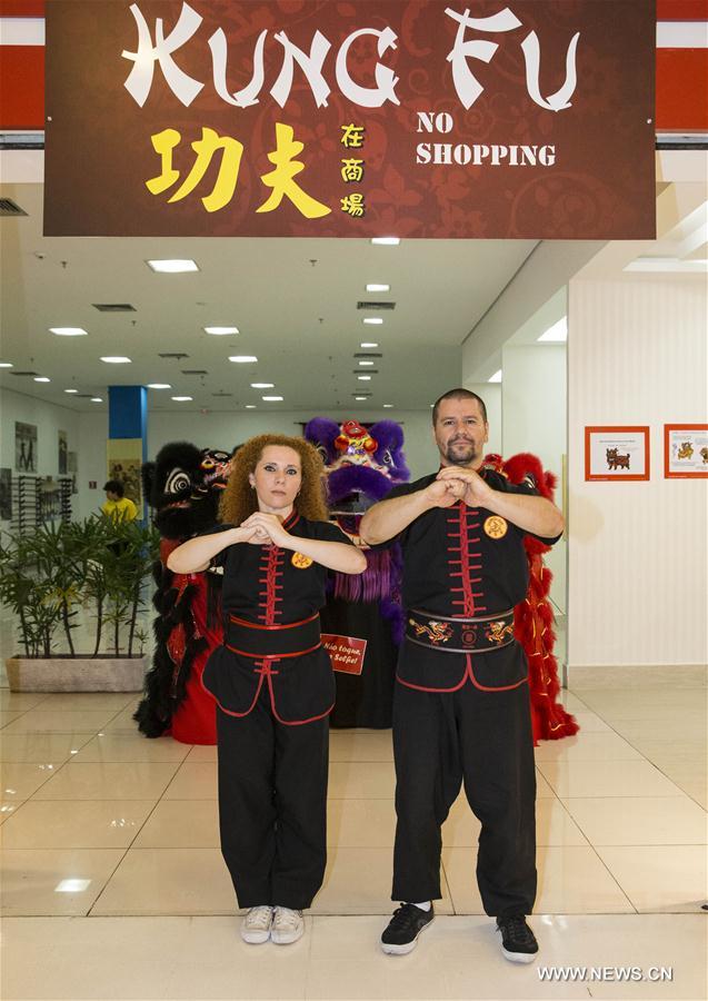 （国际）（3）开在巴西商场里的中国武馆
