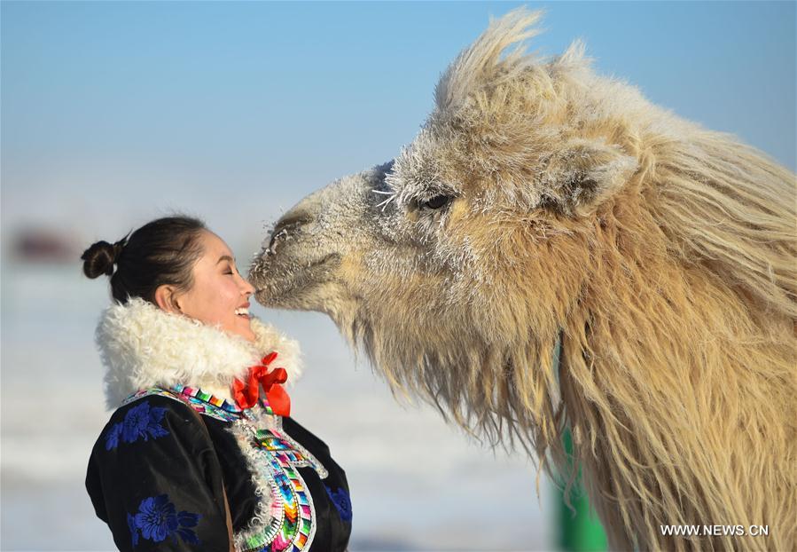 الصورة : مهرجان نادام الشتوي في شمالي الصين 