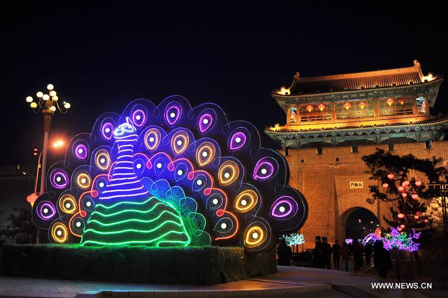 #（社会）（4）赏灯迎元宵