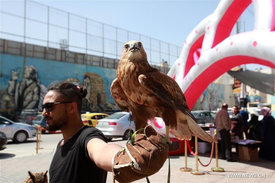 الصورة: افتتاح أول معرض للزهور والطيور النادرة في الضفة الغربية