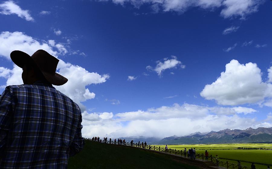 CHINA-QINGHAI-MENYUAN-RAPE FLOWER (CN)