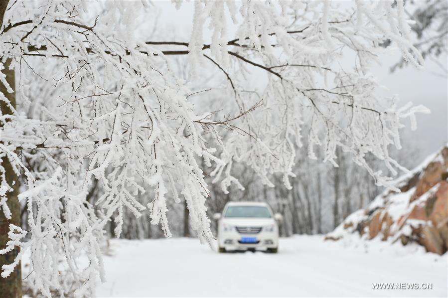 #CHINA-HUBEI-XIANGYANG-RIME SCENERY (CN)